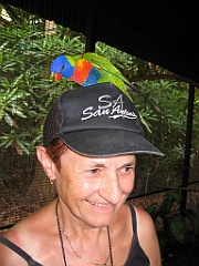 099 Cairns Tropical Zoo